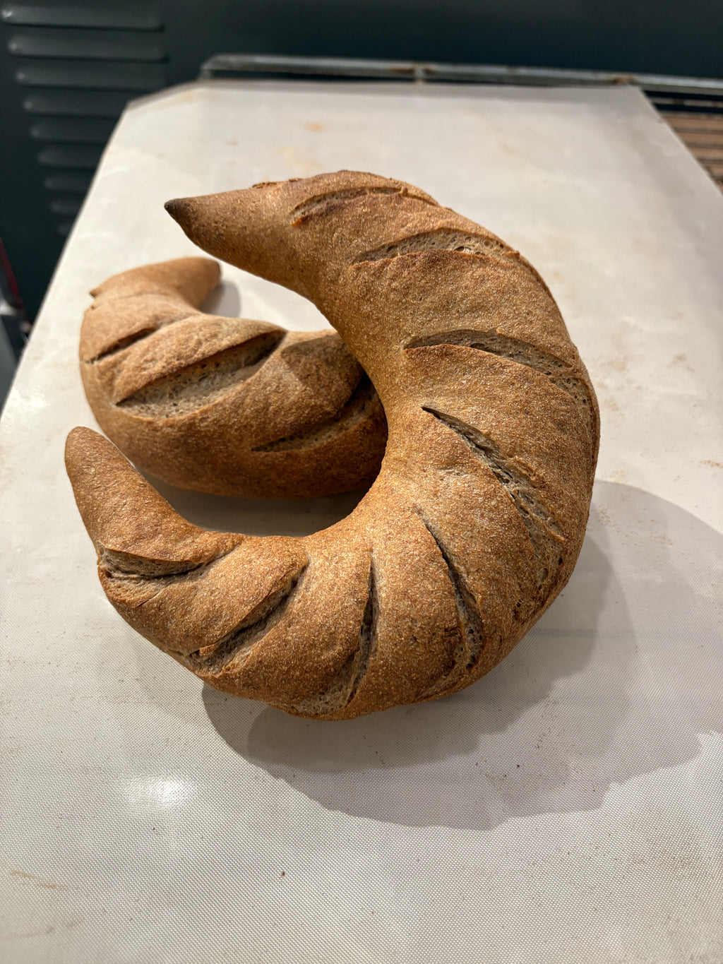 rye & whole wheat moon bread