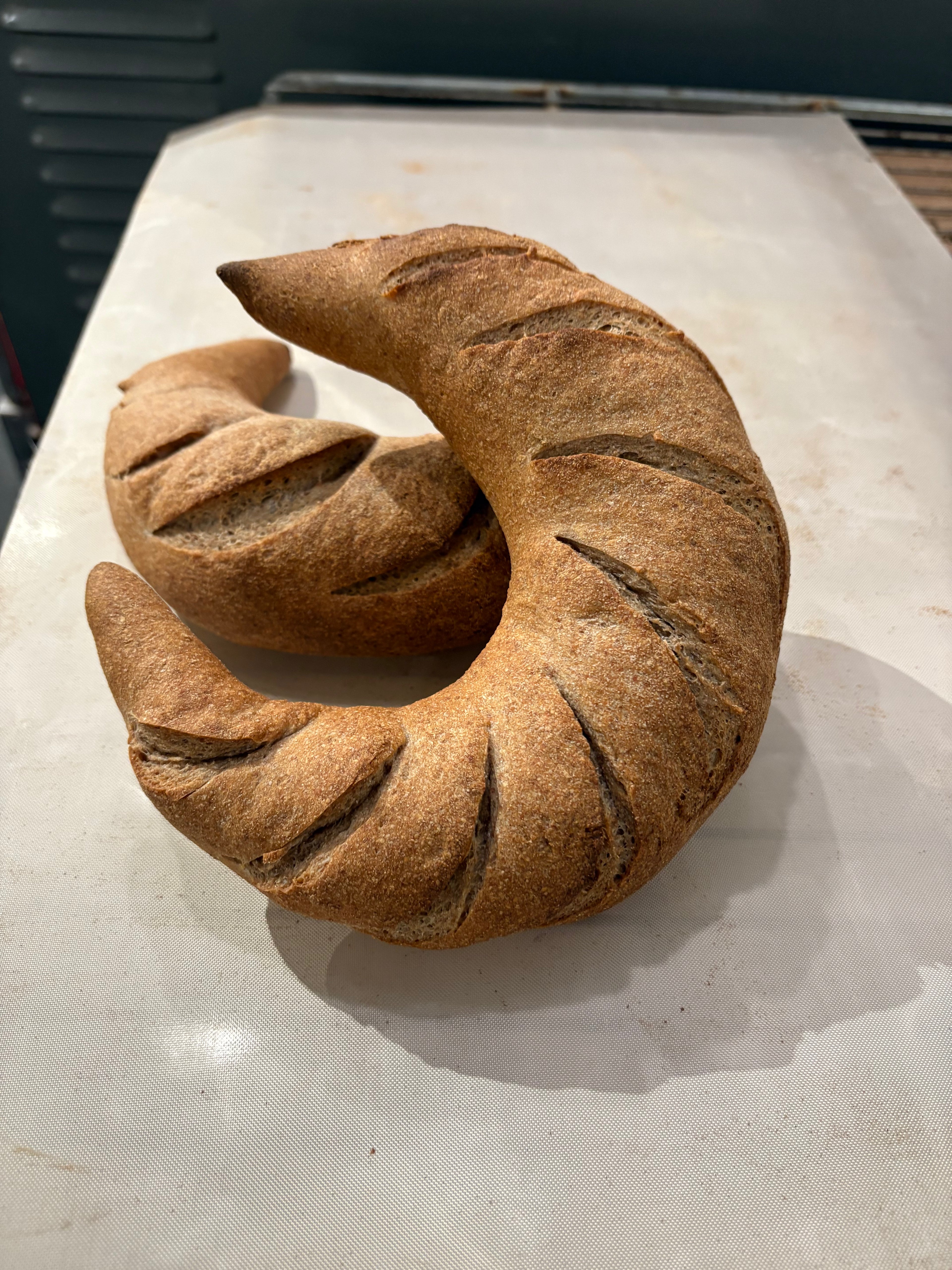 rye & whole wheat moon bread